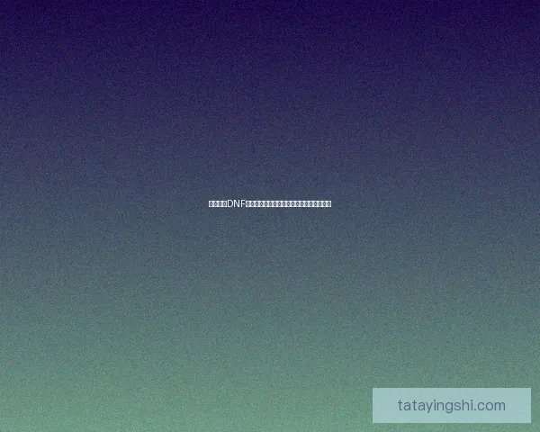 深度解析DNF界面补丁应用技巧与优化方法提升游戏体验