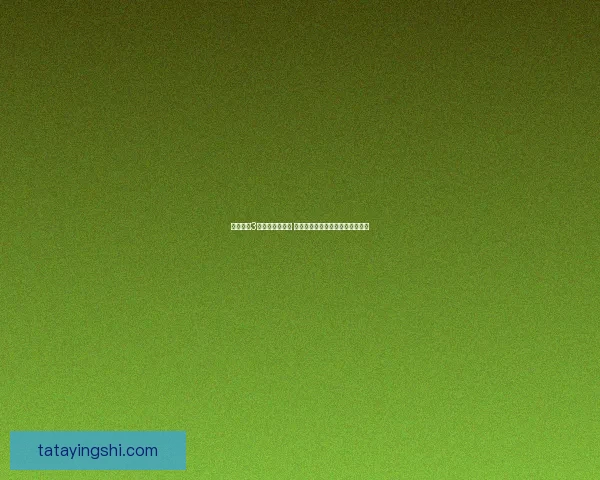 造梦西游3宝石系统全解析 如何合理搭配提升战力与技能效果